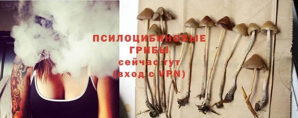 круглые Вязьма