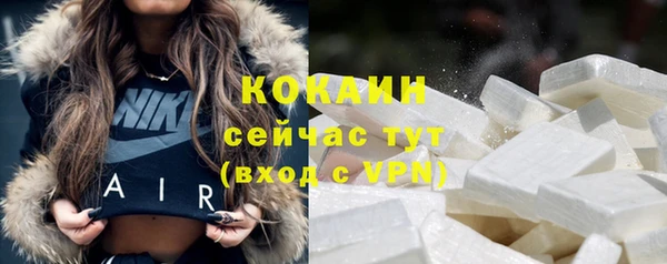 ALPHA-PVP Гусев