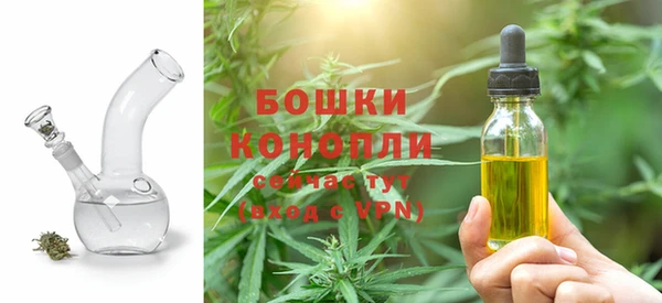 ПСИЛОЦИБИНОВЫЕ ГРИБЫ Гусь-Хрустальный
