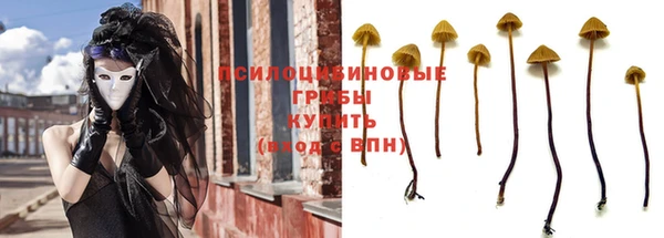 ALPHA-PVP Гусев