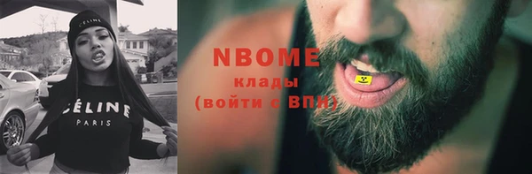 ПСИЛОЦИБИНОВЫЕ ГРИБЫ Гусь-Хрустальный