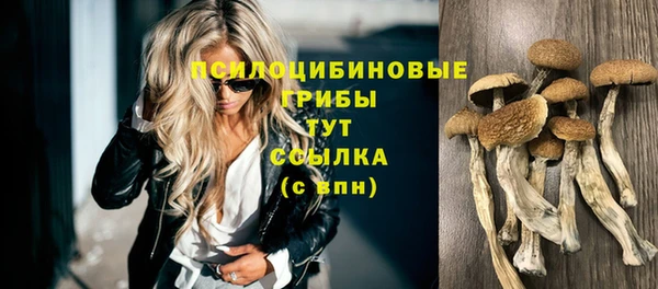 герыч Елизово