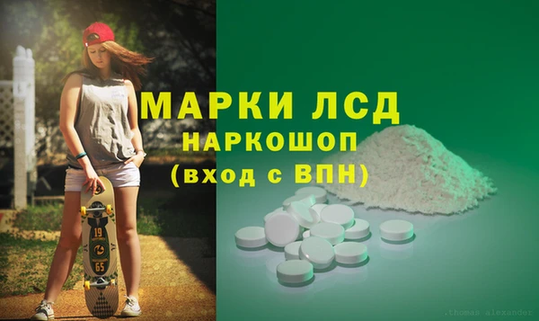 ПСИЛОЦИБИНОВЫЕ ГРИБЫ Гусь-Хрустальный