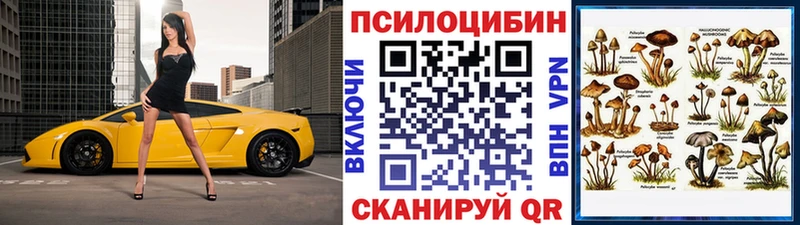 Купить закладки Межгорье Галлюциногенные грибы мицелий