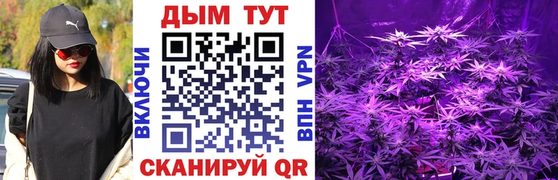 Купить закладки  Межгорье  Шишки марихуана THC 21% 